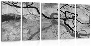 картини от 5 части – Сюрреалистични дървета в черно-бял вариант