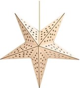 Solight 1V293 - LED коледна декорация 20xLED/2xAA, топло бяла светлина, бежова звезда