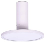 Rabalux 71328 - LED таванно осветително тяло OVIDIA LED/20W/230V 3000K бяло