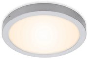 Briloner 7141-014 - LED Плафон FIRE LED/21W/230V 3000K