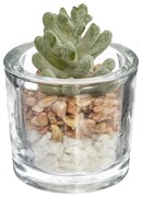 Изкуствено растение atmosphera, 10 сm, Различни видове