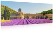 Картина на платно – Прованс с лавандулови полета
