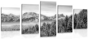 картини от 5 части – Замръзнали планини в черно-бяло