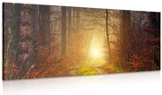 Картина на платно – Светлина в гората