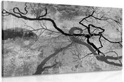 Картина на платно – Сюрреалистични дървета в черно-бяло изпълнение