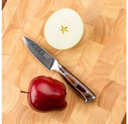 Gudaro - Дамасков кухненски нож FENG 3,5", 67 слоя стомана, дължина 9,5 cm