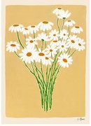 Постер 30x40 cm Daisies – Carla Llanos – The Poster Club