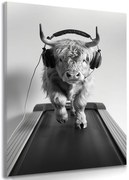 Картина на платно – Крава със слушалки на бягаща пътека