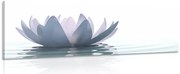 Картина на платно – Лотосов цвят