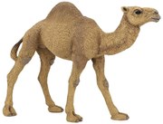 Papo - Фигурка Dromedary 50151