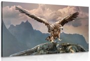 Картина на платно – Орел с разперени крила над планините