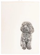 Памучна кърпа 70x50 cm Farm - Tiseco Home Studio