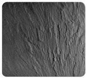 WENKO 2712984500 - Покривна плоча ABDECKPLATTE - NEUTRAL 56x50 cm черна/прозрачна