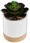 Изкуствено растение atmosphera Succulent, 12 cm, Различни видове