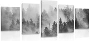 картини от 5 части – Планини в мъгла в черно-бяло