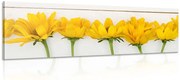 Картина на платно – Прекрасни жълти цветя
