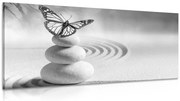 Картина на платно – Баланс на камъни и пеперуда в черно-бяло