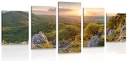 картини от 5 части – Природа залята от слънце