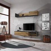 Холна секция Lizzy-Anthraki