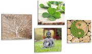 Комплект картини – Фън Шуй с елементи от природата