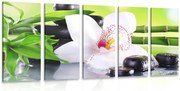 картини от 5 части – Японска орхидея