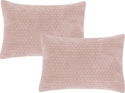 Декоративни възглавници в комплект 2 бр. 50x75 cm Attica Velvet Embroidered – Bianca