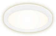 Briloner 7150-416 - LED Лампа SLIM LED/12W/230V Ø 19 cм