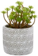 Изкуствено растение atmosphera Succulent, 17 cm, Различни видове