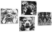 Комплект картини – Животни в черно-бял поп арт стил