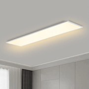 Brilagi - Димируемо LED осветително тяло SLIMFRAME LED/58W/230V 120x30 cm бяло + дистанционно управление