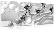 Картина на платно – Черно-бяла орхидея на абстрактен фон