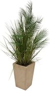 Изкуствено растение atmosphera Palm Tree Wonj, 142 cm