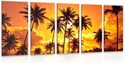 картини от 5 части – Кокосови палми на плажа