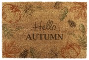 Изтривалка от кокосови влакна 40x60 cm Hello Autumn – Artsy Doormats