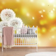 Тапет – Пухкаво глухарче