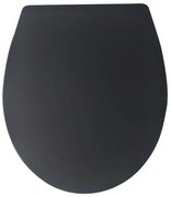 Тоалетна седалка ICST 910B