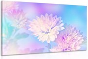 Картина на платно – Цвят на хризантема