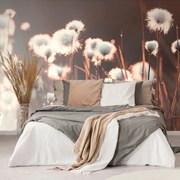 Фототапет – Памучна трева
