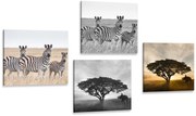 Комплект картини – Животни, живеещи на саваната