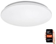 Rabalux 71035 - LED RGB Димируем плафон CERRIGEN LED/24W/230V