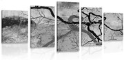 картини от 5 части – Сюрреалистични дървета в черно-бяло