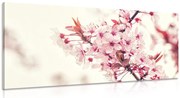 Картина на платно – Розови цветове на череша