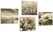 Комплект картини – Поле с цветя в сепия