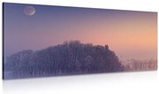 Картина на платно – Пълнолуние над селото