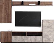 Секция Ариола