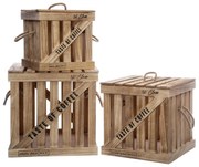 Сет кутии за съхранение atmosphera Denys, 3бр, Пауловния