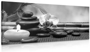 Картина на платно – Фън Шуй натюрморт в черно-бяло