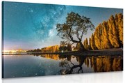 Картина на платно – Дърво под звездното небе