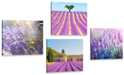 Комплект картини – Лавандулово богатство