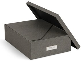 Картонени органайзери за докумнети в комплект от 5 бр. Holger – Bigso Box of Sweden